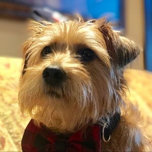 Meet your Posher, Mariam